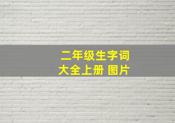 二年级生字词大全上册 图片